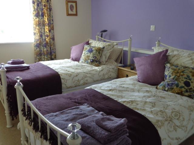 Lodge House B&B Buckland St Mary Camera foto