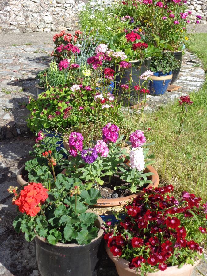 Lodge House B&B Buckland St Mary Esterno foto